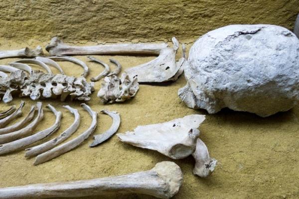 في واقعة يلفها الكثير من الغموض...العثور على هيكل عظمي بشري داخل سيارة إسعاف بالحاجب