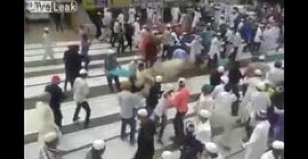 بالفيديو.. بقرة تهاجم المصلين لحظة خروجهم من مسجد