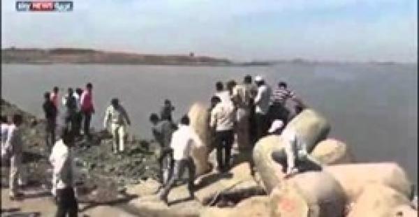 بالفيديو.. أسد يضل طريقه ويصل شاطئ البحر بالهند