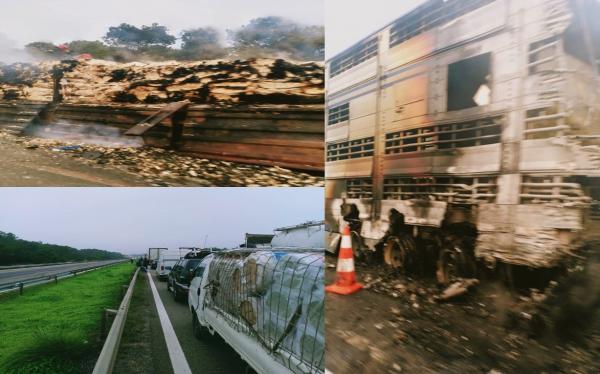 بالصور : احتراق شاحنة لنقل الخيول يشل حركة السير بالطريق السيار لـ"ساعات"