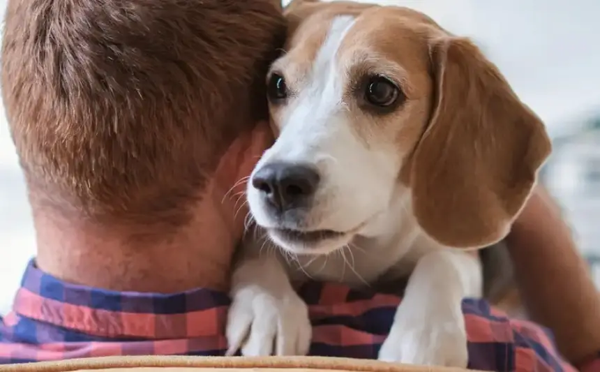 هل تصاب الحيوانات بالأمراض العقلية مثل البشر؟