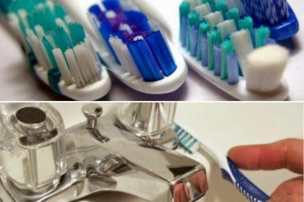 دورات المياه وفرشاة الأسنان والمائدة أكثر الأسطح تلوثا بالميكروبات