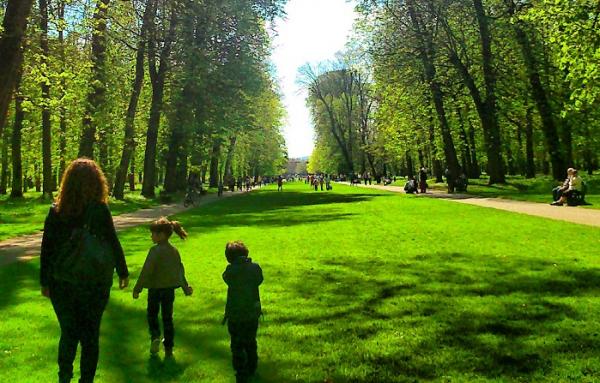 دراسة: المشي في الغابات والحدائق له تأثير سحري على الإجهاد