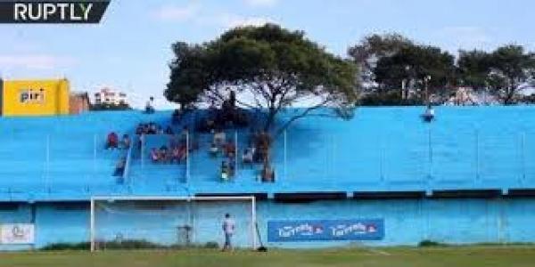 في باراغواي.. شجرة تصبح مشجعا كرويا!