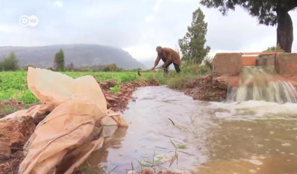الطاقة الشمسية تدخل المجال الزراعي في المغرب
