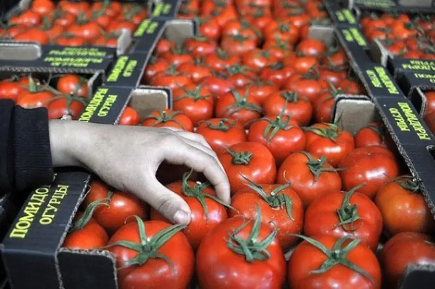 لحماية القدرة الشرائية للمغاربة.. المغرب يقرر "تعليق" صادرات الطماطم نحو أوروبا