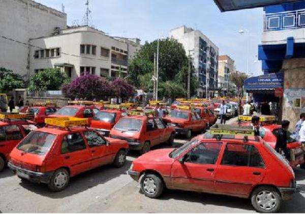 أبناء رجل أعمال وعائلات نافذة وأشقاء موظف سام مستفدون من المأذونيات بالعرائش