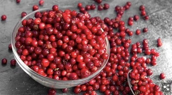 تناول التوت البري يوميا يحافظ على صحة القلب