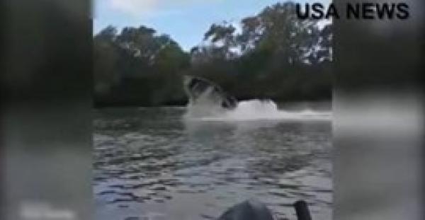 بالفيديو والصور.. شاب كاد يدفع حياته ثمنا للاستعراض أمام أصدقائه