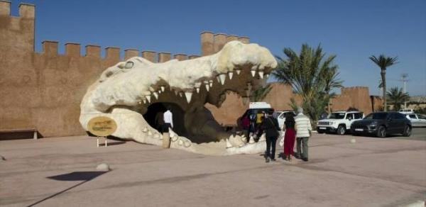 مصير سيدة اتهمت حديقة "كروكوبارك" بإطعام الحيوانات الحية للتماسيح