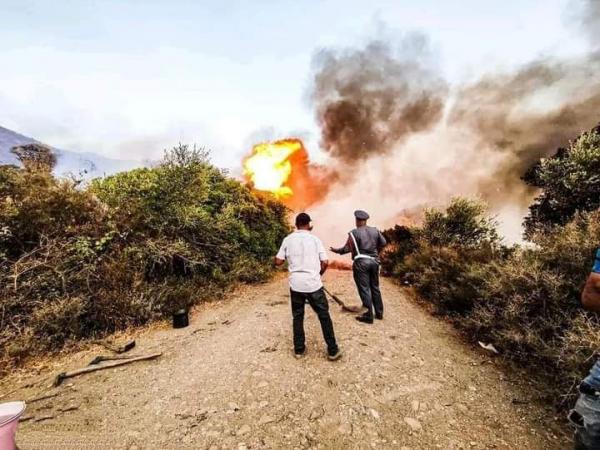 اعتقال شخص أربعيني تسبب في اندلاع حرائق الغابات بالعرائش