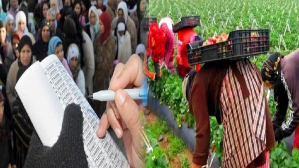 خبر هام بخصوص العاملات الفلاحيات المستفيدات من تراخيص العمل باسبانيا