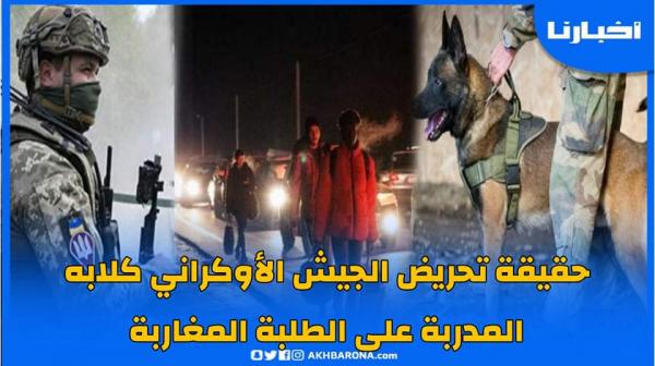 ما حقيقة تحريض الجيش الأوكراني كلابه المدربة على الطلبة المغاربة لرفضهم الالتحاق بالجيش؟