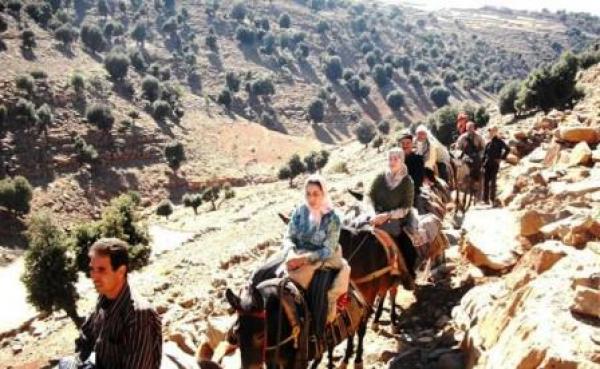 الوفا يعد شغيلة التعليم بتنفيذ التعويض عن المناطق النائية