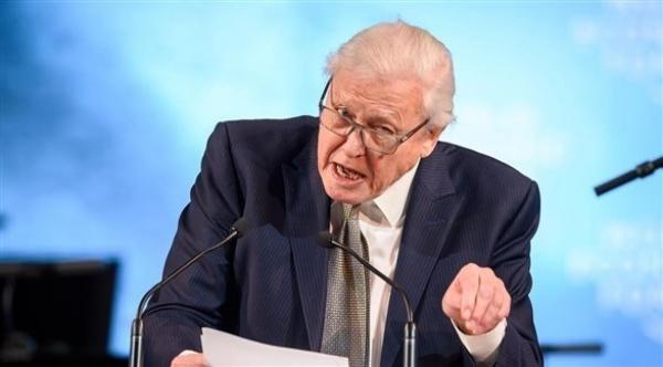 عالم الطبيعة ديفيد أتنبوروه: البشرية مهددة بمزيد من الأوبئة الفتاكة