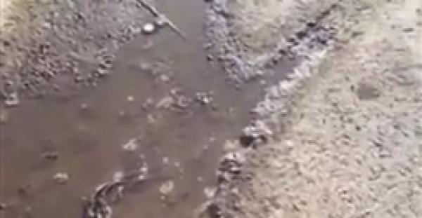 بالفيديو.. بقعة ماء تصدر صوتا وتخرج دخانا تثير قلقا بالسعودية