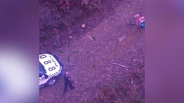 لحظة العثور على امرأة تاهت في غابة لـ5 أيام(فيديو)