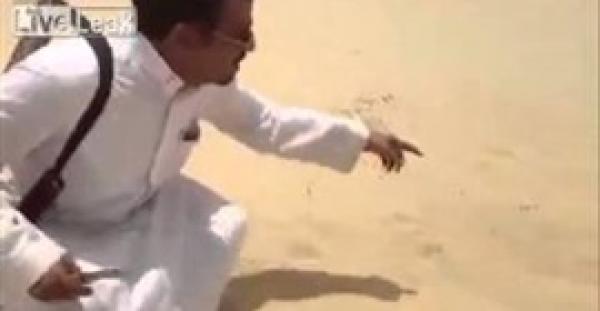 بالفيديو.. أرنب ماكر يخدع صيادًا لينجو بحياته