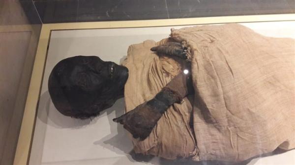 مصر تحقق في فيديو مشجع جزائري "بصق" على أهم ملوك الفراعنة!