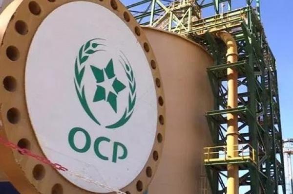 جودة الفوسفاط المغربي وتنافسيته العالية بأمريكا قد تدفع "ترامب" إلى اتخاذ قرار متهور