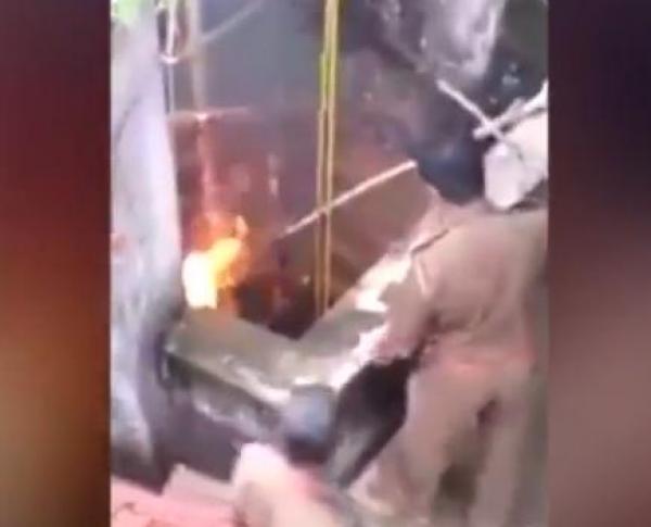 بالفيديو: إنقاذ فهد سقط في بئر عبر سلم خشبي