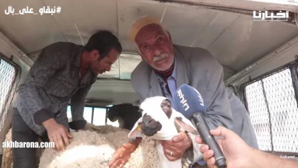 مواطنون: الدرويش ميعيدش والحولي غالي، والكسابة يردون: الثمن مناسب وحنا مضرورين ومتعوضناش