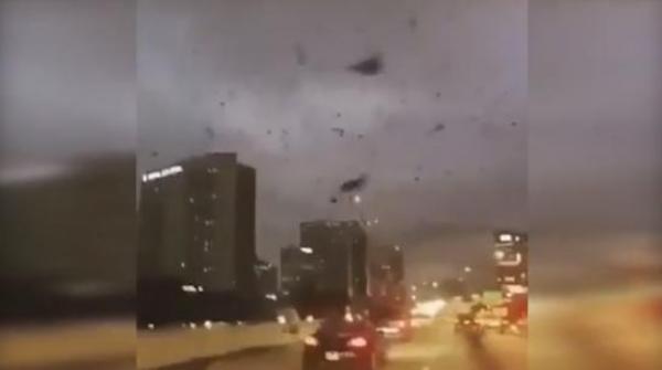 الغربان تهاجم مدينة تكساس بعد حرق مسجد في المدينة