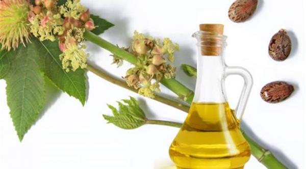 10 فوائد صحية لزيت الخروع تهمك معرفتها