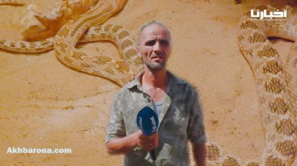 أفاعي وحشرات خطيرة تهدد حياة مستخدمي وعمال سوق الجملة للخضر والفواكه بتطوان ..