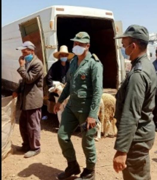 السلطات تسهر على احترام قواعد الحماية والوقاية بسوق الأغنام العزوزية بمراكش (صور)
