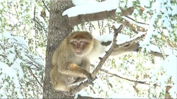 المغرب الجميل : منطقة مودمام قرب أزرو