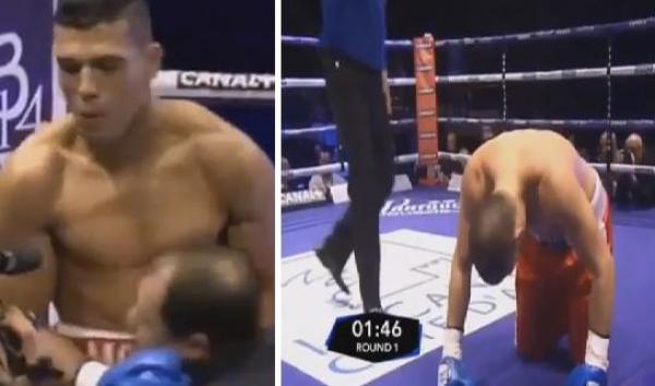 بالفيديو: لحظة اسقاط الربيعي لخصمة الهنغاري بالضربة القاضية