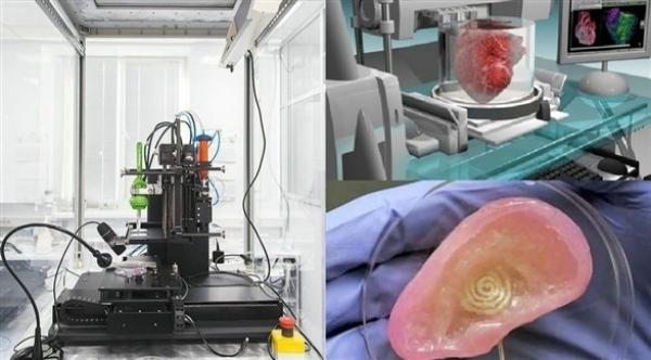 علماء يتمكنون من طباعة عضلات قلب مصنوعة من خلايا بشرية