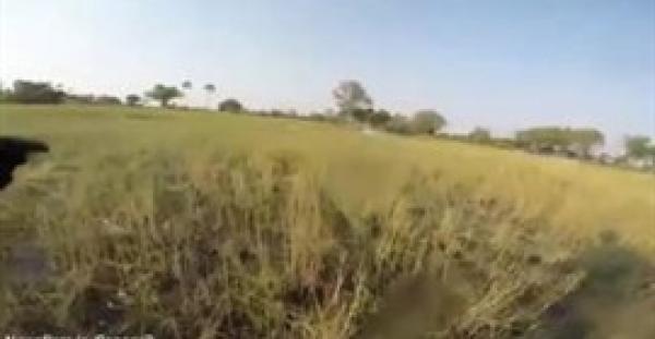 بالفيديو.. العناية الإلهية تنقذ سائحا سقط من على حصانه أمام أسد جائع