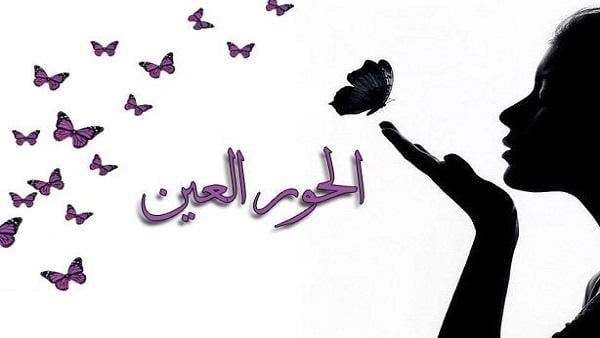 وصف الحور العين في القرآن والسنة