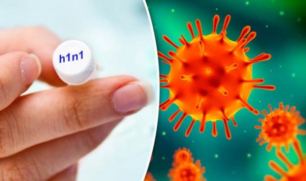 "الدكالي" يحذر المغاربة...انفلونزا الخنازير قد تنتقل عبر السلام وهذه أفضل طريقة للوقاية بدون تلقيح