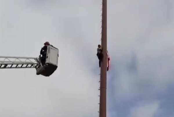 صورة من الأرشيف