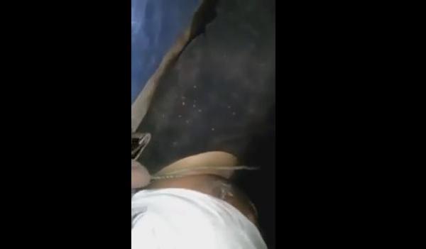 شفار شدوه كيشفر البقر ربطوه وسلخوه مزيان حتا سال الدم