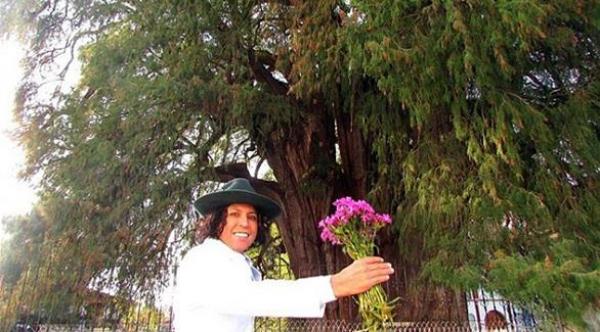 ناشط بيئي يتزوج شجرة عمرها 1000 عام في المكسيك