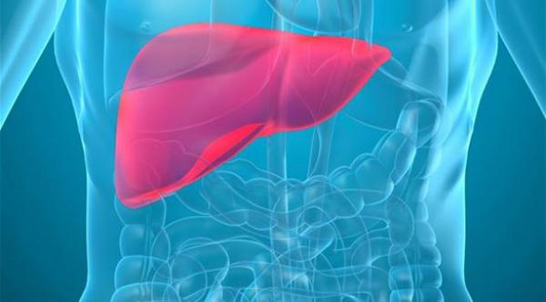 10 نصائح لحماية الكبد من الأمراض والأضرار