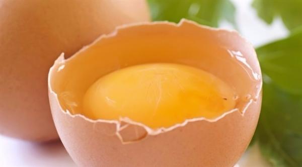 الأنظمة الغذائية المعتمدة على الأطعمة النيئة غير المطهية ضارة للغاية