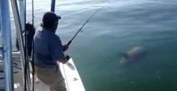 بالفيديو.. سمكة ضخمة تنتقم من صائدها بصفعة قاسية