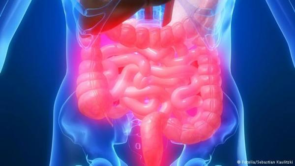 الوقاية من سرطان الأمعاء عبر الفحص المبكر