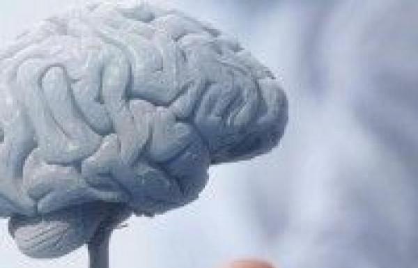 تعرف على أفضل مصادر الدهون الضرورية لصحة القلب والدماغ