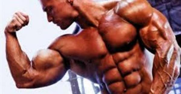 8 أطعمة تساعدك على بناء عضلات قوية بارزة