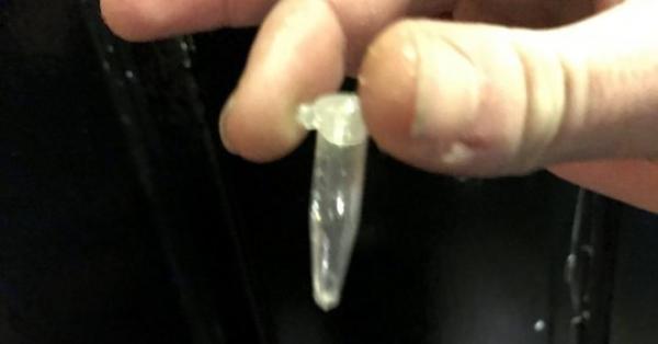 تجار حشيش أصدقاء للبيئة يبيعون المخدرات في بلاستيك قابل للتدوير