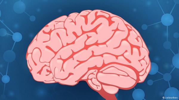 عقل الإنسان سريع جدا في التذكر