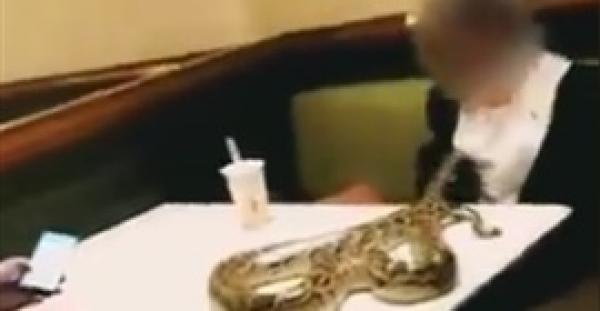 زبون يصطحب ثعبانا إلى مطعم لتناول العشاء (فيديو)