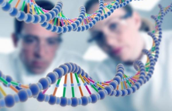 جينات المغاربة.. باحثون يرسمون الخارطة الجينية للمجتمع .. تعرف على السبب!!