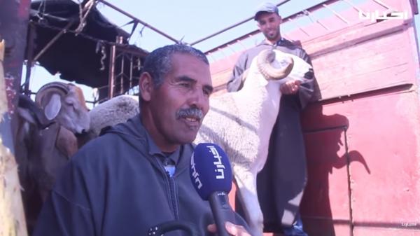 كساب: هاد الحولي فيه 110 كيلو والثمن ديال البيع ديالو ممقنعش